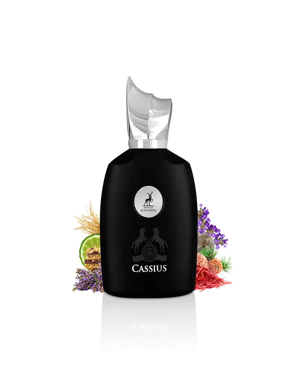 عطر كاسيوس (Cassius) من ميزون الحمراء – 100 مل 🌟
