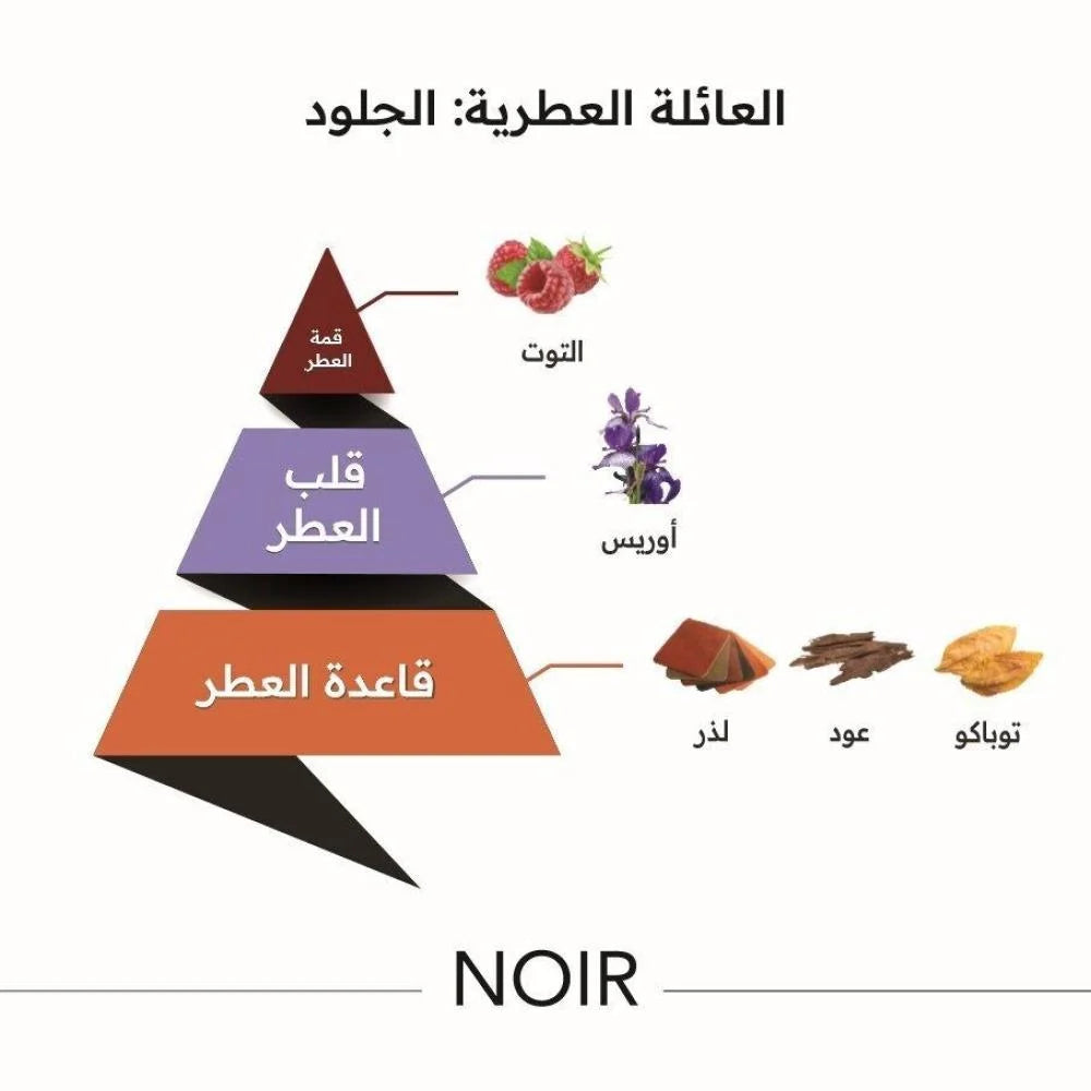 Noir Perfume by Almajed for Oud